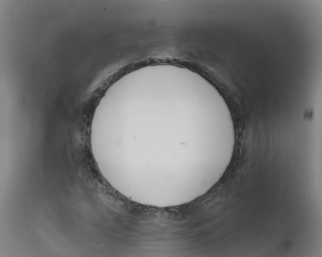 X0000111801207200908131428