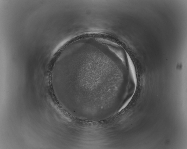 X0000111801208200908131428