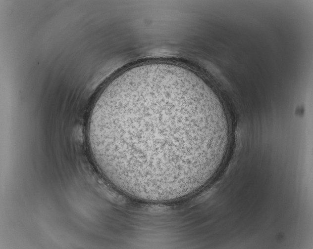 X0000111801209200908131428