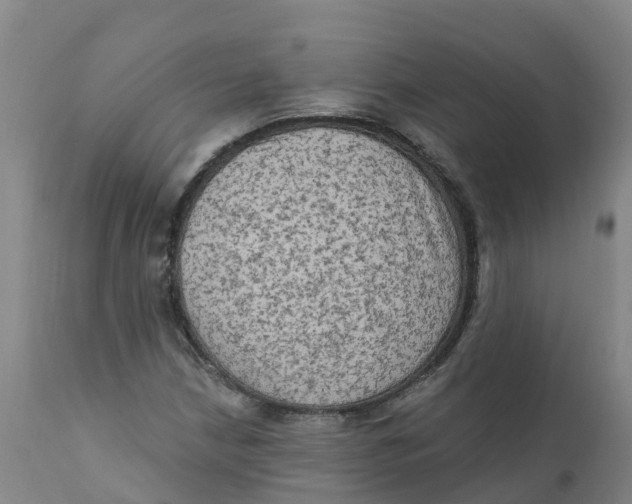 X0000111801210200908131428