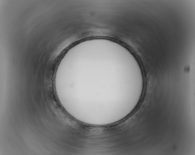 X0000111801211200908131428