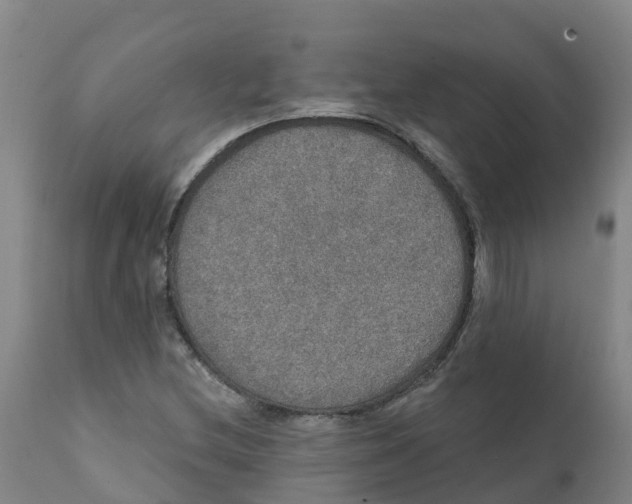 X0000111801212200908131428