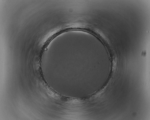 X0000111801213200908131428