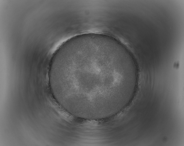 X0000111801214200908131428