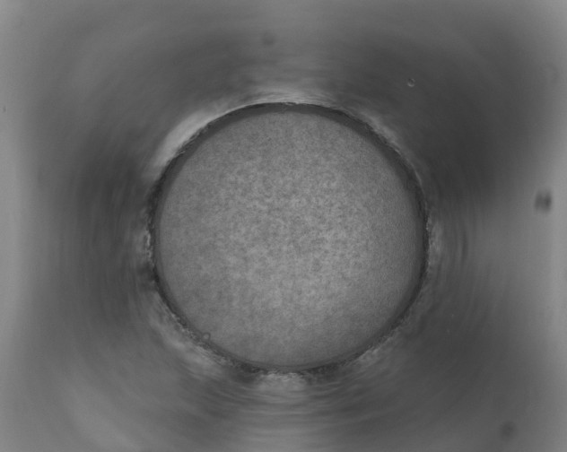 X0000111801215200908131428