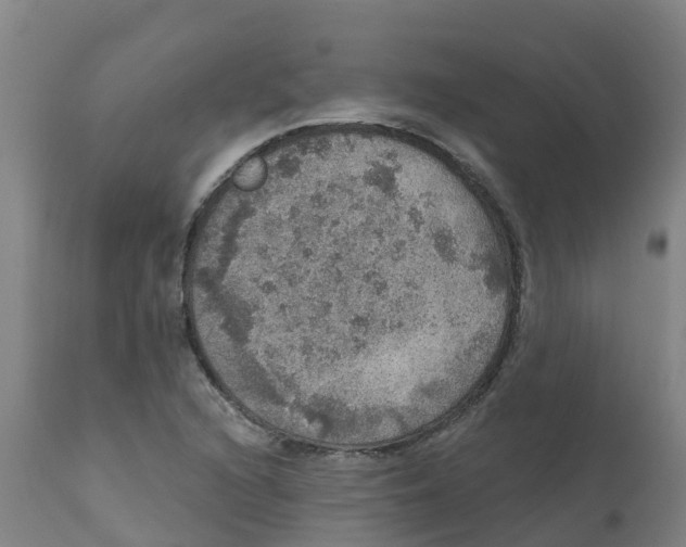 X0000111801216200908131428