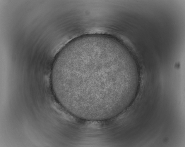 X0000111801217200908131428
