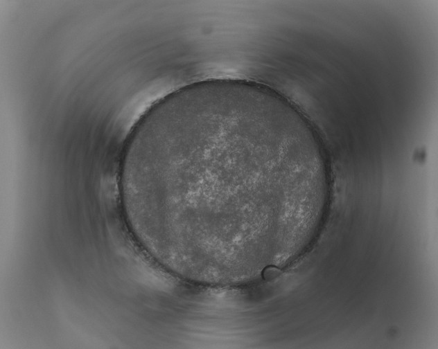 X0000111801218200908131428