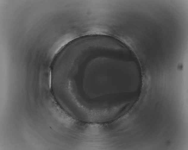 X0000111801219200908131428