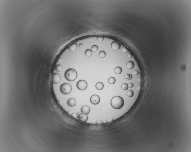 X0000111801220200908131428