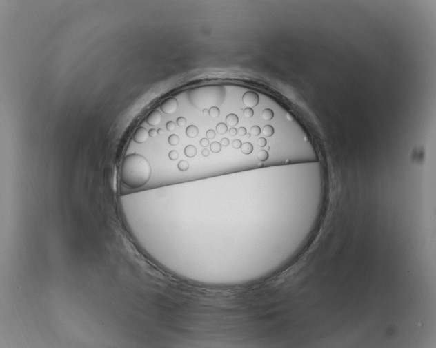 X0000111801221200908131428