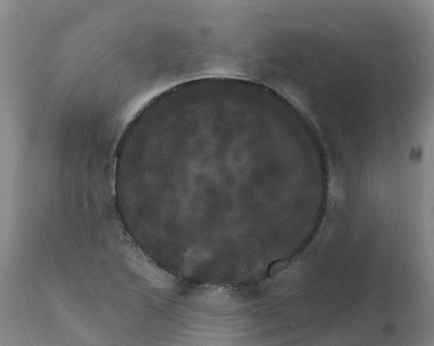 X0000111801222200908131428