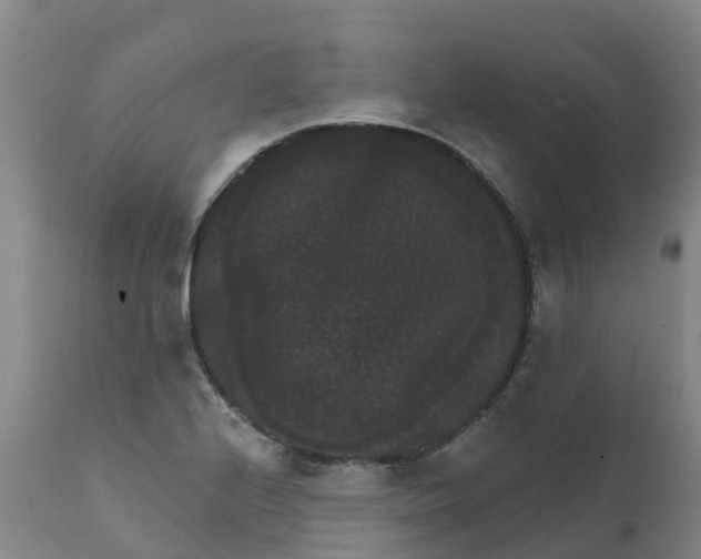 X0000111801224200908131428