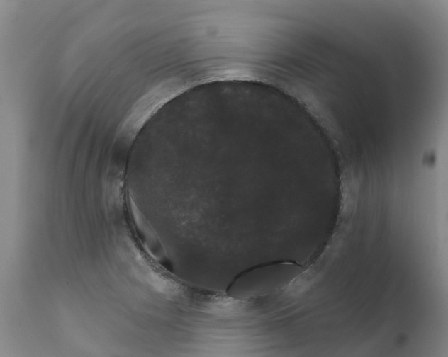 X0000111801225200908131428