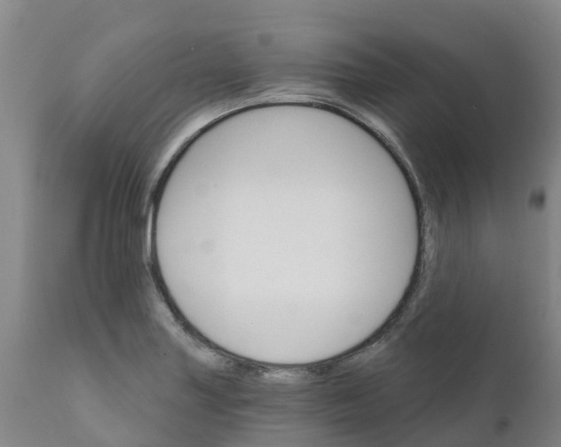 X0000111801227200908131428