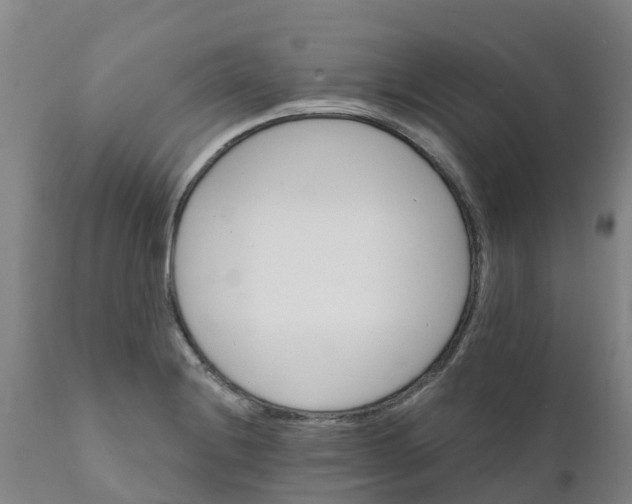 X0000111801228200908131428