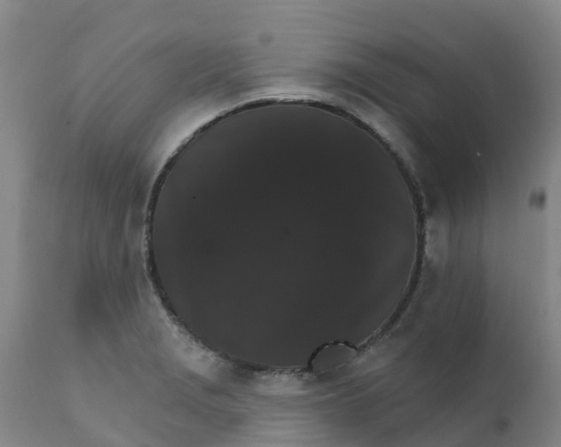 X0000111801229200908131428