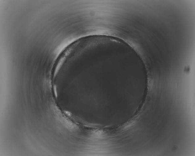 X0000111801230200908131428