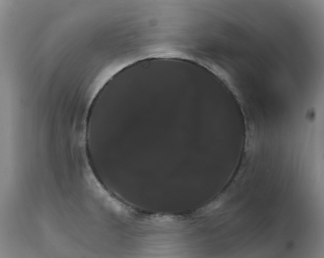 X0000111801231200908131428