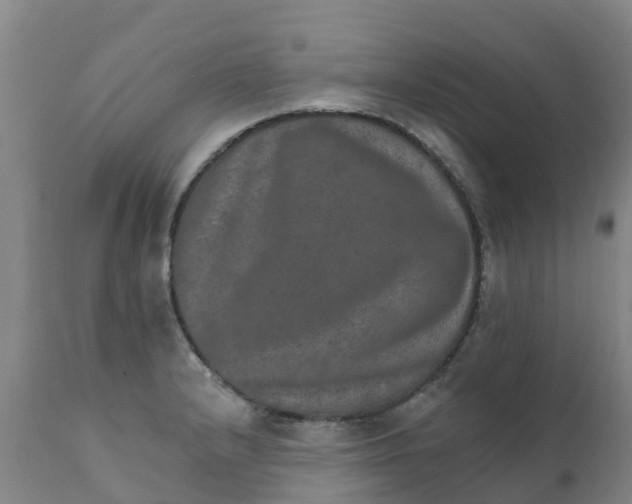X0000111801232200908131428
