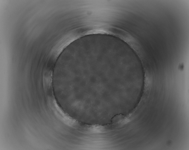 X0000111801233200908131428