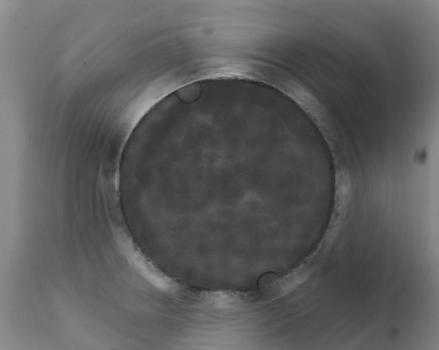 X0000111801234200908131428
