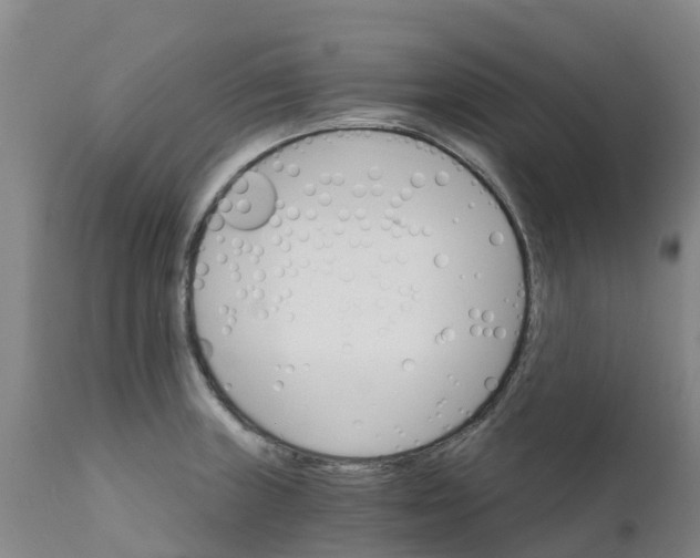 X0000111801235200908131428