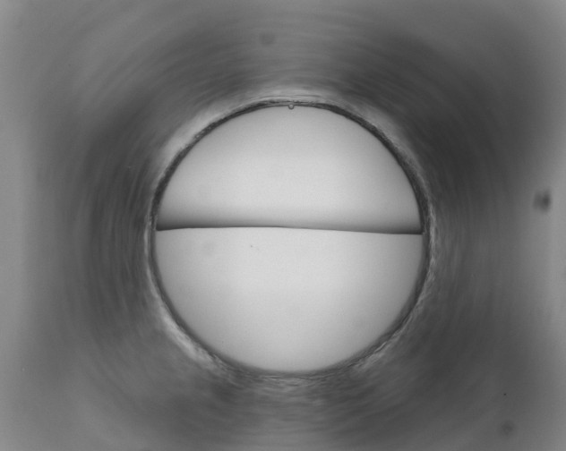 X0000111801237200908131428