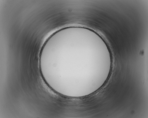 X0000111801238200908131429