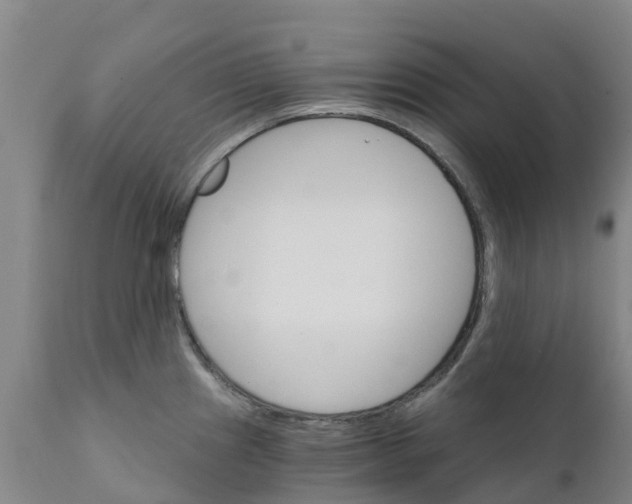 X0000111801241200908131429