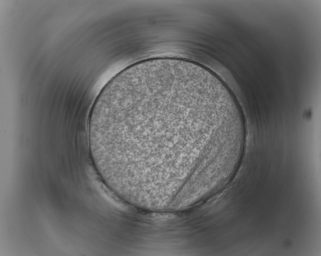 X0000111801242200908131429