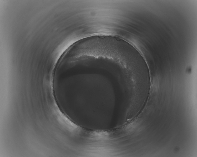 X0000111801243200908131429