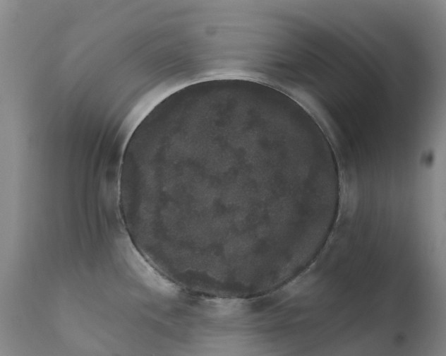 X0000111801244200908131429