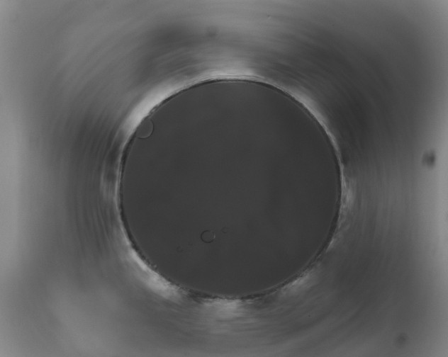 X0000111801245200908131429
