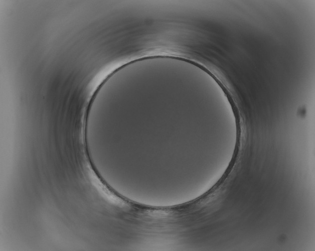 X0000111801246200908131429
