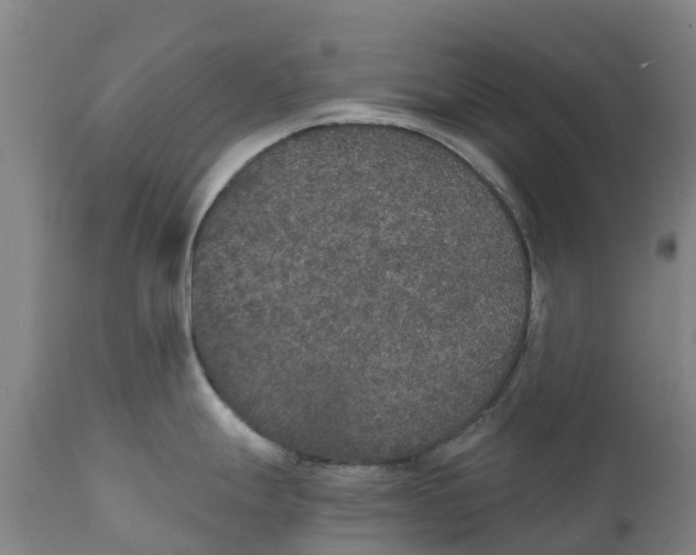 X0000111801247200908131429