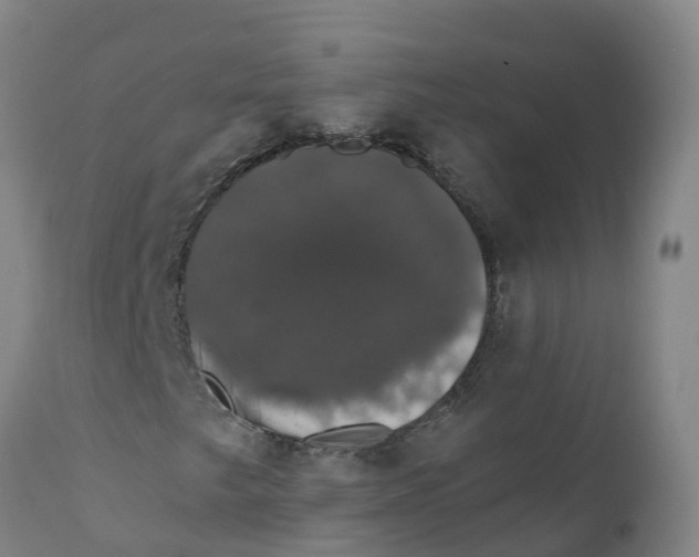 X0000111801249200908131428