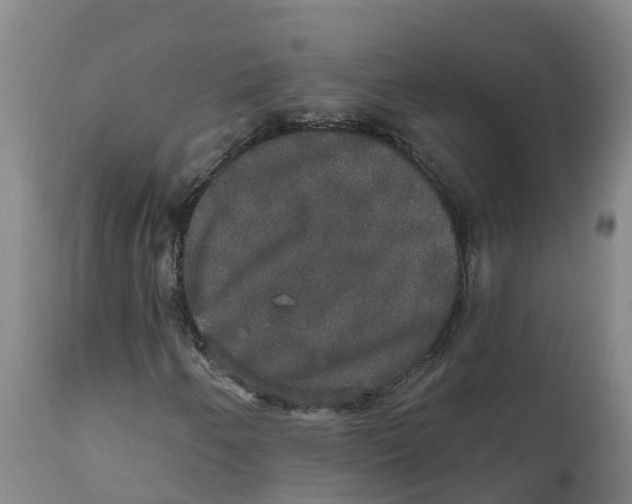 X0000111801250200908131428
