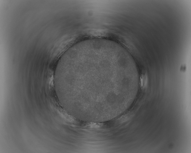 X0000111801251200908131428