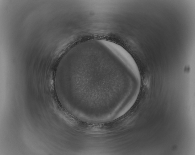 X0000111801252200908131428