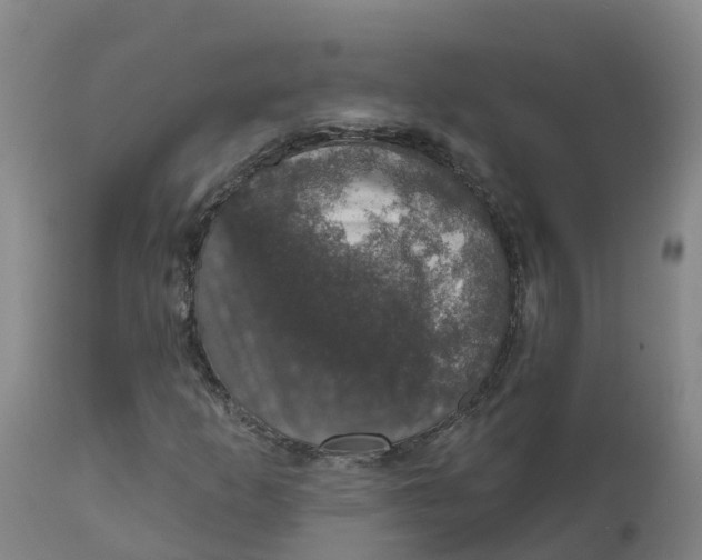X0000111801253200908131428