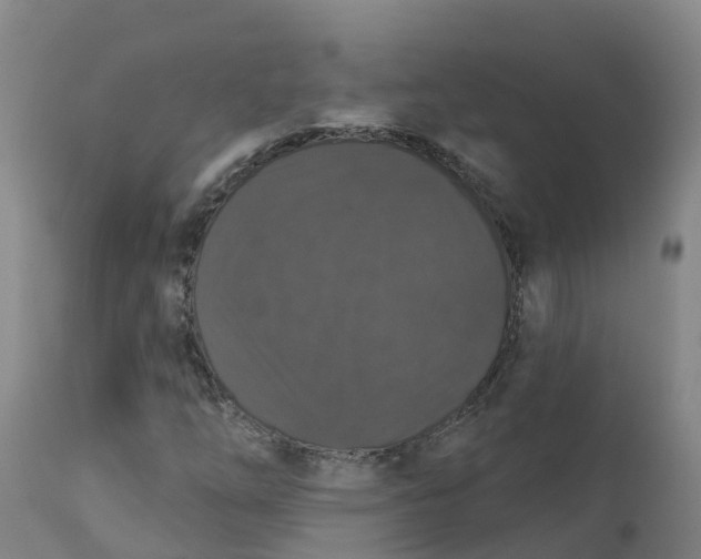 X0000111801254200908131428