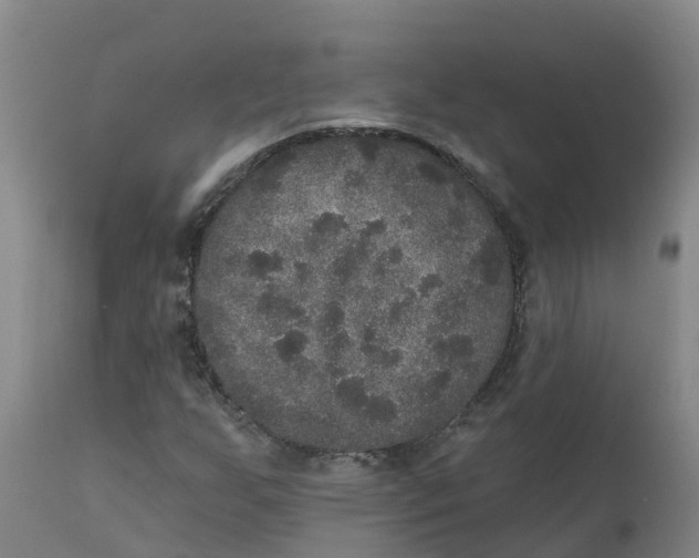 X0000111801255200908131428