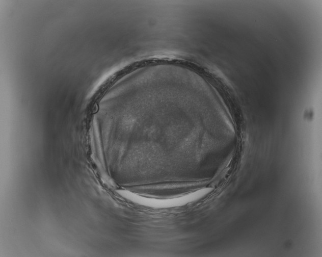 X0000111801256200908131428