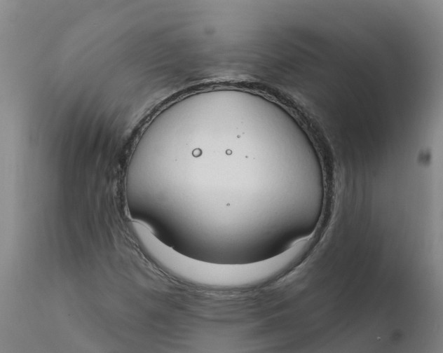 X0000111801257200908131428