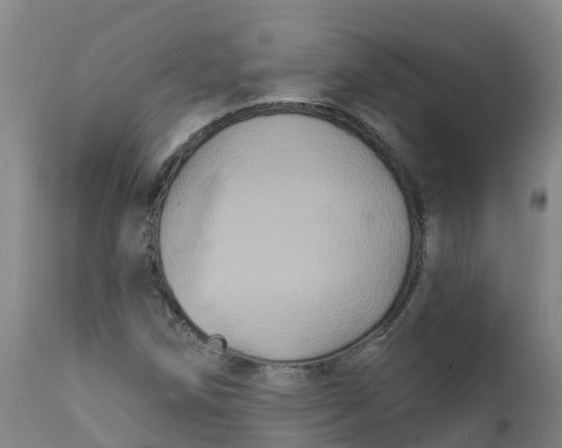 X0000111801258200908131428