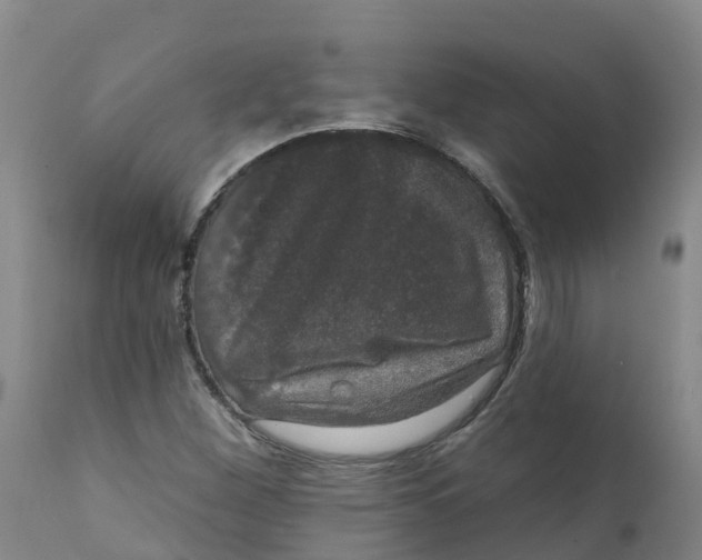 X0000111801260200908131428