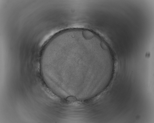 X0000111801262200908131428