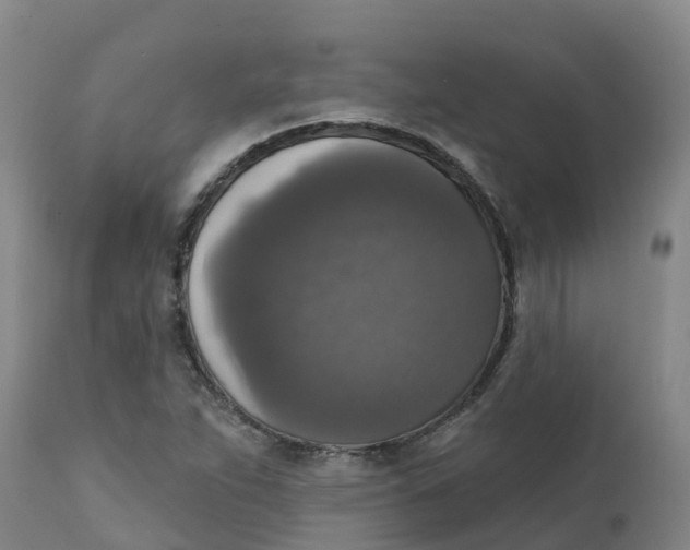 X0000111801263200908131428