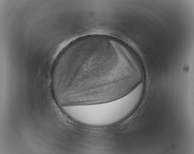 X0000111801264200908131428